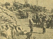 Путеводитель по Дону и Северскому Донцу. 1931 г.