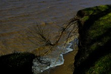 Граф Воронцов, Воронцовка, Михельсталь, Меотида