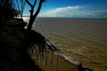 Граф Воронцов, Воронцовка, Михельсталь, Меотида