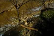 Граф Воронцов, Воронцовка, Михельсталь, Меотида