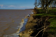 Граф Воронцов, Воронцовка, Михельсталь, Меотида