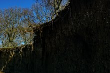 Граф Воронцов, Воронцовка, Михельсталь, Меотида