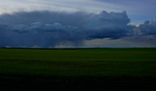 Мартовская туча