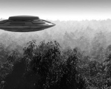 Зеленый остров