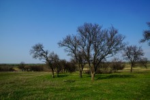 Путешествие по мокрому Еланчику от Васильево-Ханжоновки Через Греко-Тимофеевку до Латоново