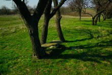 Путешествие по мокрому Еланчику от Васильево-Ханжоновки Через Греко-Тимофеевку до Латоново