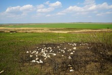 Путешествие по мокрому Еланчику от Васильево-Ханжоновки Через Греко-Тимофеевку до Латоново