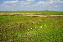 Путешествие по мокрому Еланчику от Васильево-Ханжоновки Через Греко-Тимофеевку до Латоново