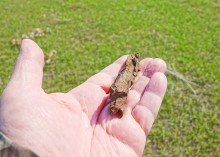 Путешествие по мокрому Еланчику от Васильево-Ханжоновки Через Греко-Тимофеевку до Латоново