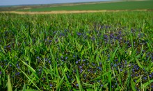 Путешествие по мокрому Еланчику от Васильево-Ханжоновки Через Греко-Тимофеевку до Латоново