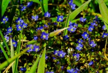 Путешествие по мокрому Еланчику от Васильево-Ханжоновки Через Греко-Тимофеевку до Латоново