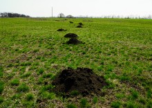 Путешествие по мокрому Еланчику от Васильево-Ханжоновки Через Греко-Тимофеевку до Латоново