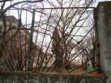 Витя Черевичкин