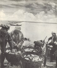 Рыбалка на Дону