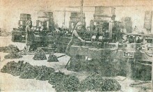 Первые пять лет восстановления Ростова-на-Дону