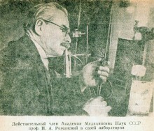 Первые пять лет восстановления Ростова-на-Дону