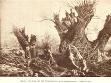 История строительства Волгодонского канала