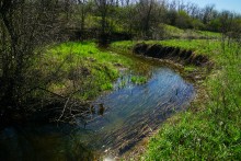 Цветы на реке Ясиновке