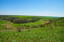 Цветы на реке Ясиновке