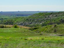 Цветы на реке Ясиновке