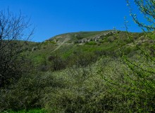 Меловые горы на реке Ясиновке