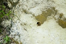 Меловые горы на реке Ясиновке