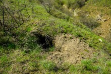 Меловые горы на реке Ясиновке