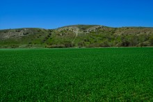 Меловые горы на реке Ясиновке