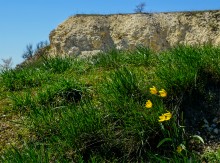 Меловые горы на реке Ясиновке