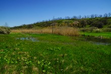 Меловые горы на реке Ясиновке