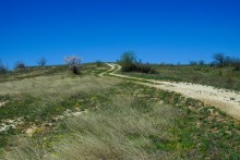 Меловые горы на реке Ясиновке