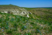 Меловые горы на реке Ясиновке