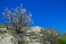 Меловые горы на реке Ясиновке