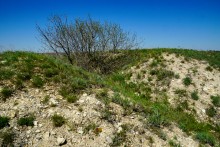 Меловые горы на реке Ясиновке