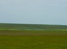 Путешествие по берегам озера Маныч-Гудило