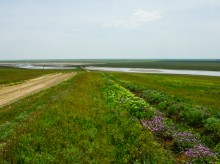 Путешествие по берегам озера Маныч-Гудило