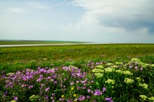 Путешествие по берегам озера Маныч-Гудило