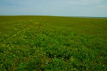 Путешествие по берегам озера Маныч-Гудило