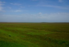 Путешествие по берегам озера Маныч-Гудило