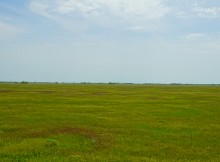 Путешествие по берегам озера Маныч-Гудило