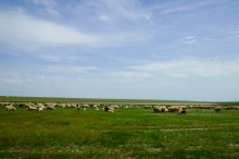 Путешествие по берегам озера Маныч-Гудило