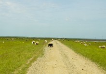 Путешествие по берегам озера Маныч-Гудило