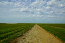 Путешествие по берегам озера Маныч-Гудило