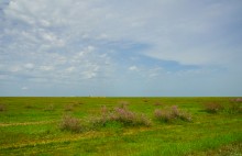 Путешествие по берегам озера Маныч-Гудило