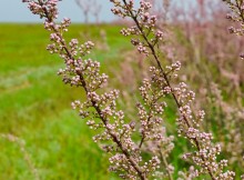 Путешествие по берегам озера Маныч-Гудило