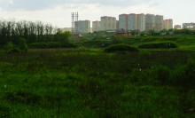 Слепой дождь