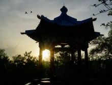 Прогулка по Элисте, столице Калмыкии