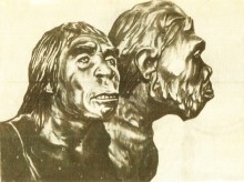 Поселение каменного века Хрящи на Северском Донце