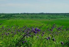 Путешествие по долине Тузлова