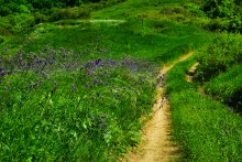 Путешествие по долине Тузлова